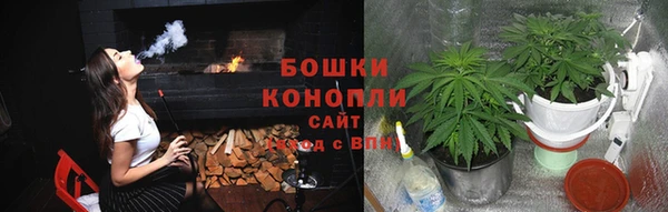 мет Ладушкин