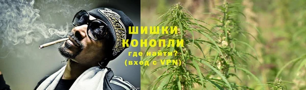 мет Ладушкин