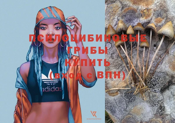 молекула духа Лагань