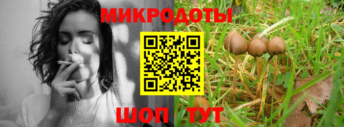 Россошь  Галлюциногенные грибы Psilocybine cubensis  Вход с VPN 