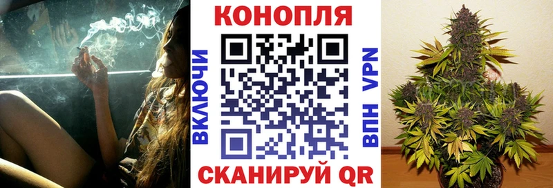 kraken tor  Россошь  Канабис Bruce Banner  как найти закладки 